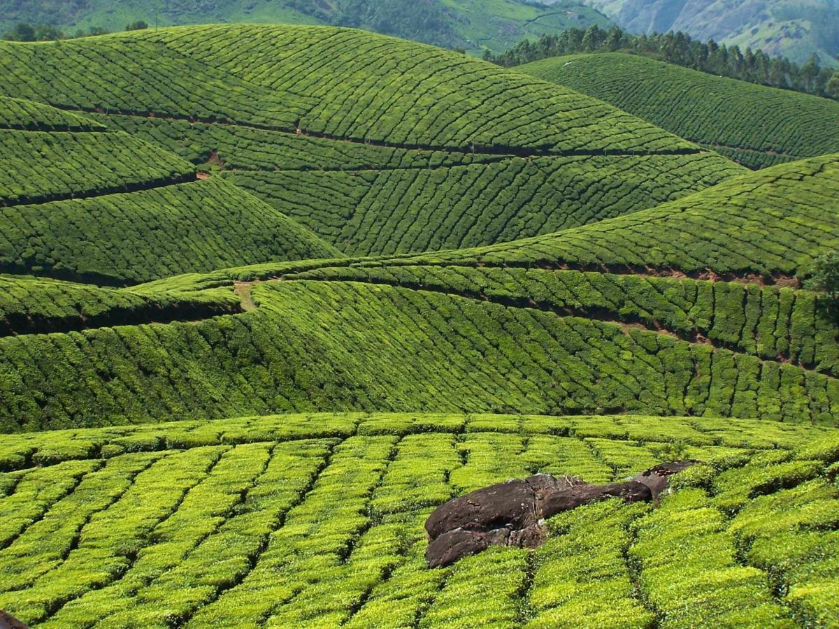 Ferienwohnung Mistica Munnar Anachal Exterior foto