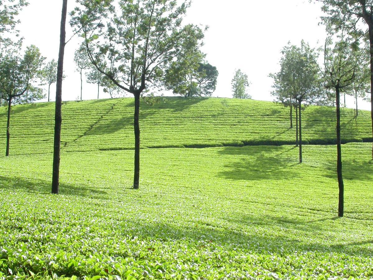 Ferienwohnung Mistica Munnar Anachal Exterior foto