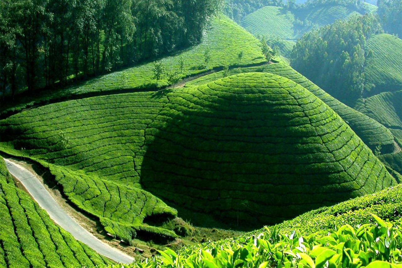 Ferienwohnung Mistica Munnar Anachal Exterior foto